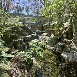 Blue Mountains Bushwalk Aviary