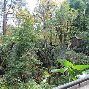 Red Panda enclosure