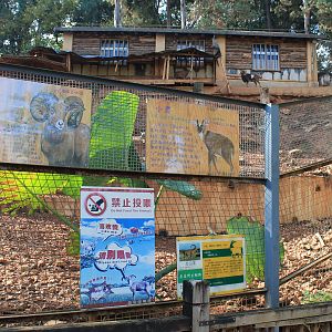 Signage on Mouflon / Ibex / Reeves' Muntjac enclosure