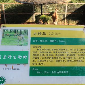 Signage example (Eland)