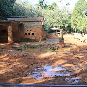 White Rhino enclosure