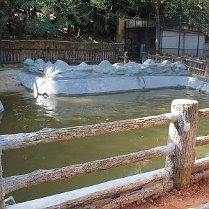 Common Hippo enclosure