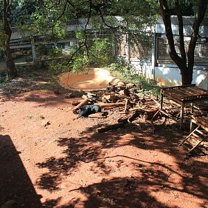 Asiatic Black Bear enclosure