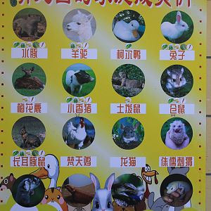 Signage for petting area