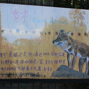 Multiple styles of signage for Dholes