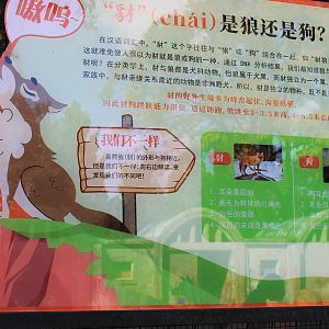 Multiple styles of signage for Dholes