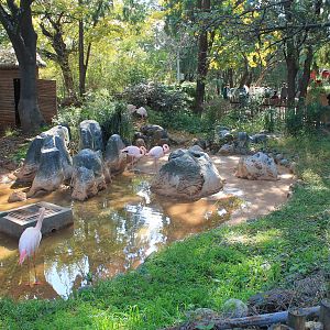 Flamingo enclosure