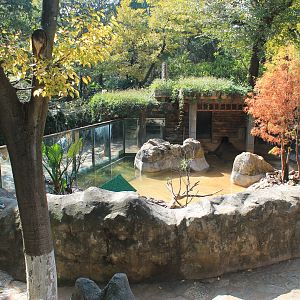 Small-clawed Otter enclosure