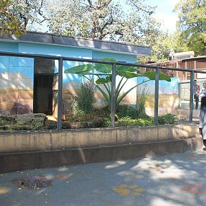 Fennec Fox enclosure