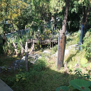 Giant Panda enclosure