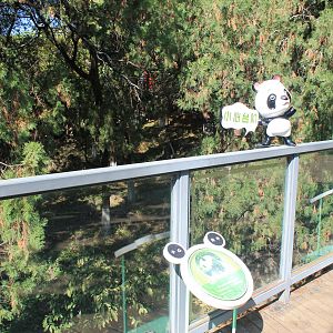 Giant Panda enclosure