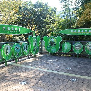 Giant Panda information signs