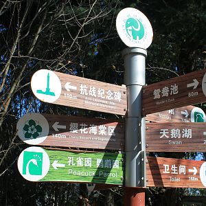 Directional sign-post