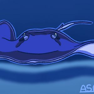 Southern Stingray (Remastered 2024)