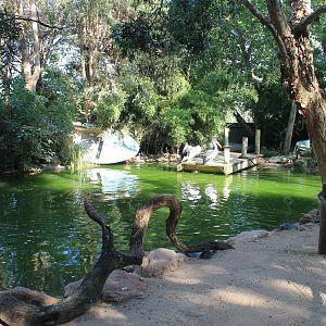 Pelican enclosure
