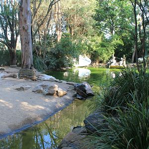 Pelican enclosure
