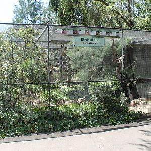 Birds of the Seashore aviary