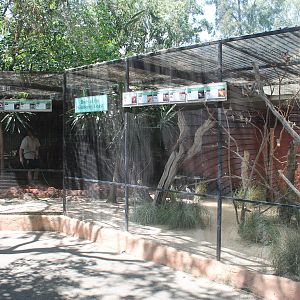 Birds of the Kimberley Coast aviary