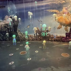April 2023- Jellyfish Art Display