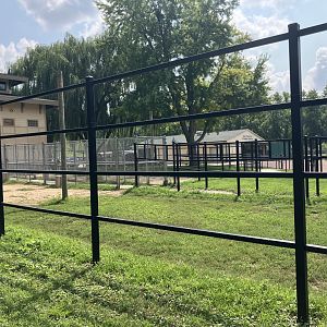 Africa - Outdoor Giraffe Exhibit