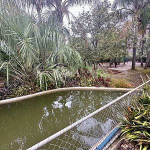 First Brazilian Tapir/Patagonian Mara Exhibit