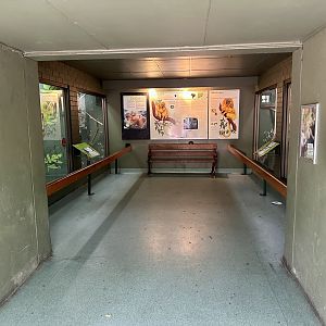 Tamarin House (Interior)