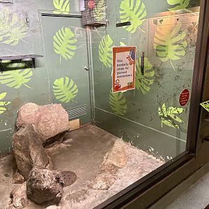 Tamarin House - Day Room 4