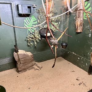 Tamarin House - Day Room 3