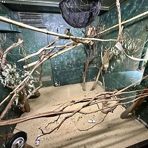 Tamarin House - Day Room 1