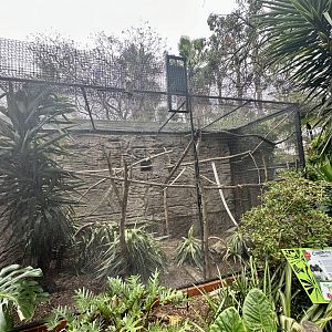 Cotton-top Tamarin Exhibit