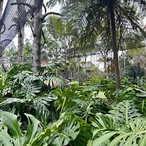 Tamarin Overhead Tunnels