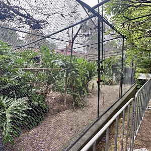 Cotton-top Tamarin Exhibit