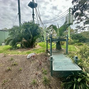 Sumatran Orangutan Exhibit