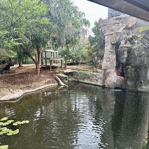 Second Sumatran Tiger Exhibit