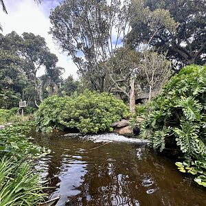 Gibbon Islands (Siamang End)