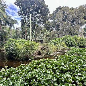 Gibbon Islands (White-Cheeked Gibbon End)