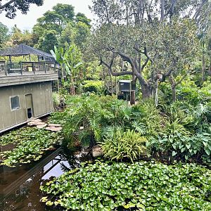 Gibbon Islands (Siamang End)