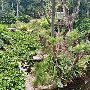 Gibbon Islands (White-Cheeked Gibbon End)