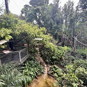 South East Asian Aviary