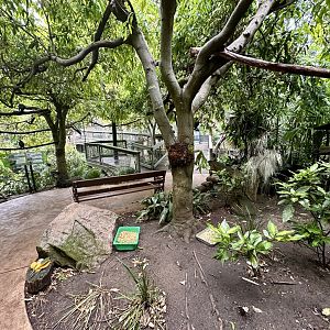 South East Asian Aviary