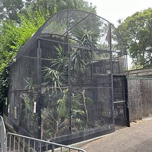 Bolivian Squirrel Monkey Exhibit