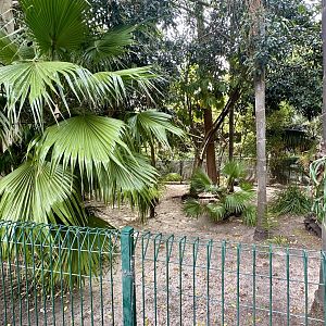 Southern Cassowary Exhibit