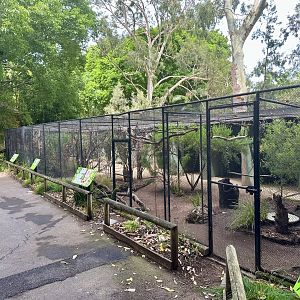 Australian Aviaries