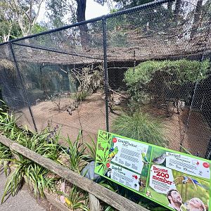 Orange-bellied Parrot Aviary