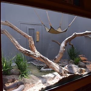Typical Reptile Enclosure Example