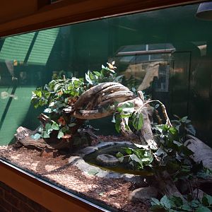 Typical Reptile Enclosure Example