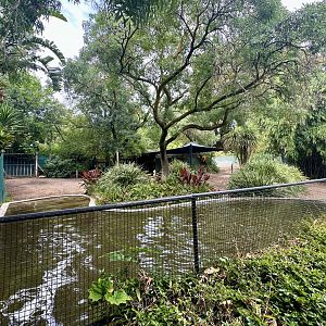 Second Brazilian Tapir/Patagonian Mara Exhibit