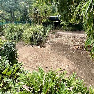 Second Brazilian Tapir/Patagonian Mara Exhibit