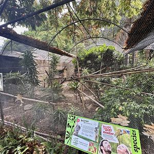 Bolivian Squirrel Monkey Exhibit