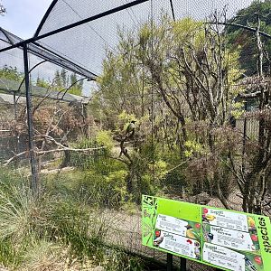 Media 'Australian Aviary' in category 'Adelaide Zoo'